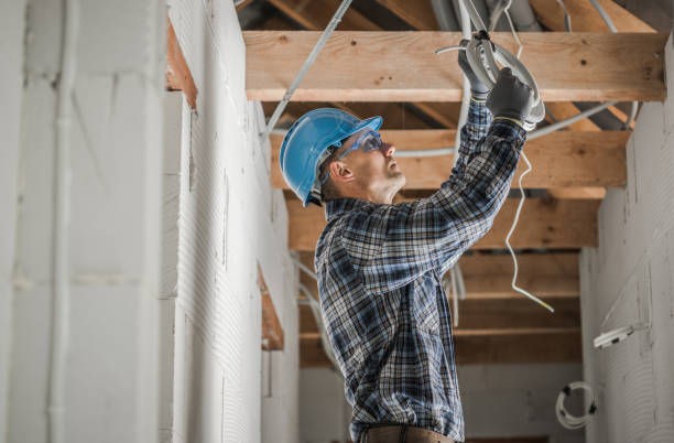 Best Electrical System Inspection  in Moulton, AL