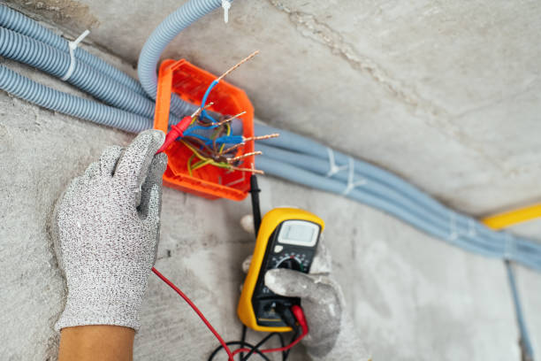 Best Electric Panel Repair  in Moulton, AL